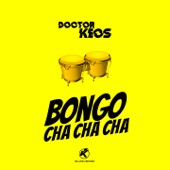 Bongo cha cha cha (Radio remix) artwork