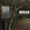 The River and the Stone - Morgan