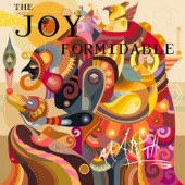 The Joy Formidable - Cicada (Land on Your Back)