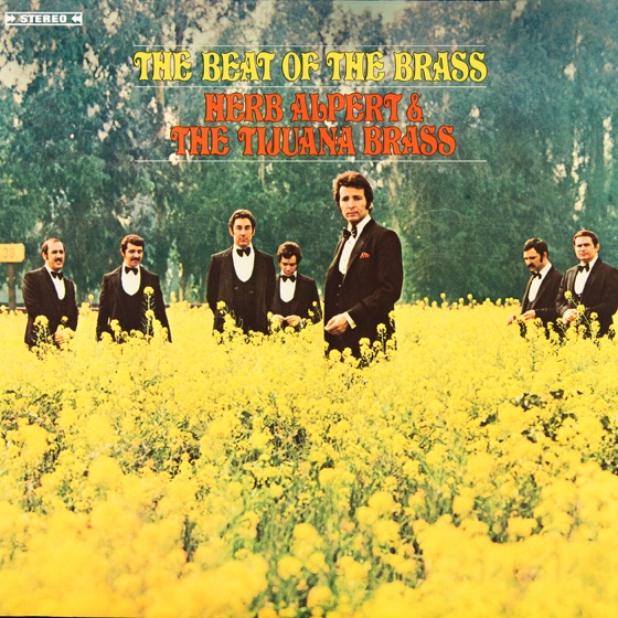 Cover artwork for Talk to the Animals