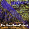 Banyan - The Hang Drum Project