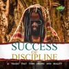 Success of Discipline