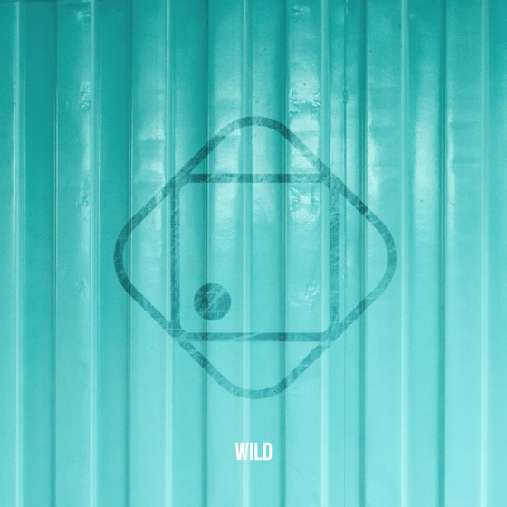 Cover artwork for Wild