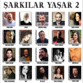 Şarkılar Yaşar 2 artwork