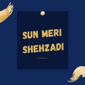 Sun Meri Shehzadi artwork