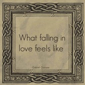 What Falling in Love Feels Like (Cover) artwork