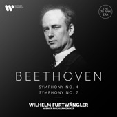 Symphony No. 4 in B-Flat Major, Op. 60: IV. Allegro ma non troppo artwork