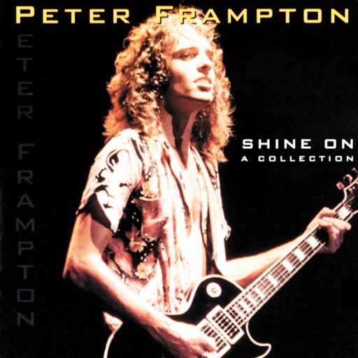 Art for I Can't Stand It No More by Peter Frampton