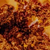 Sneaky Magma - Single