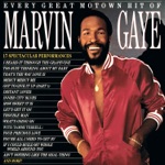 Marvin Gaye & Tammi Terrell - Ain't Nothing Like the Real Thing