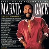 Marvin Gaye - Too Busy Thinking About My Baby