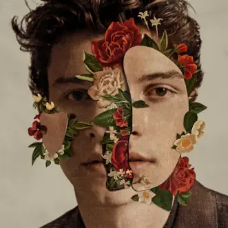 Señorita by Shawn Mendes & Camila Cabello song reviws