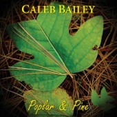 Caleb Bailey - Poplar & Pine