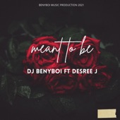 Meant to be (feat. Desree J) artwork