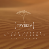 Vutuka (feat. Junior) - Lost Desert & Lee Burridge