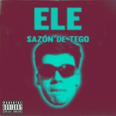 Sazón de Tego artwork