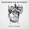 Seaside Swing - Sean Twomey