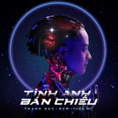 Tình Anh Bán Chiếu (feat. NVM) artwork
