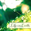 Stream & download Life on Earth