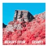 Grumpy - Single