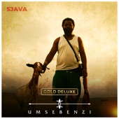 Umsebenzi (Gold Deluxe) artwork