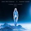 Stone Cold Heart (Danny Burg Remix) - Single