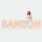 Les moments importants - Best of Véronique Sanson - Véronique Sanson Cover Art