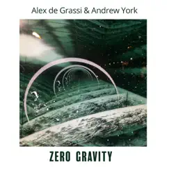 Zero Gravity - Single by Alex de Grassi & Andrew York album reviews, ratings, credits