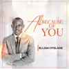All Because of You - Single album lyrics, reviews, download