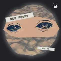 New Moons, Vol. VI by Various Artists album reviews, ratings, credits