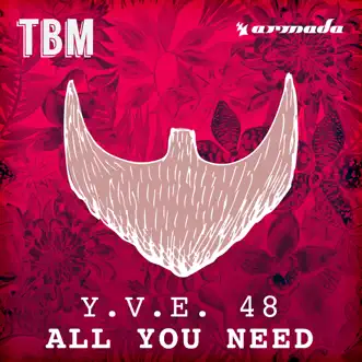 All You Need (Day Mix) by Y.V.E. 48 song reviws