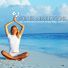 Guided Meditations - Relaxing Meditation Music Collection - Relaxing Mindfulness Meditation Relaxation Maestro & Guided Meditation