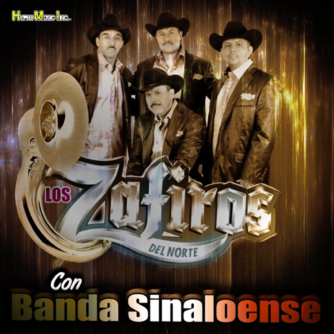 Los Zafiros del Norte on Apple Music