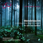 A Midsummer Night's Dream, Incidental Music, Op. 61: No. 7, Nocturne. Con moto tranquillo artwork