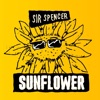 Sunflower (feat. Jason Peterson DeLaire) - Single