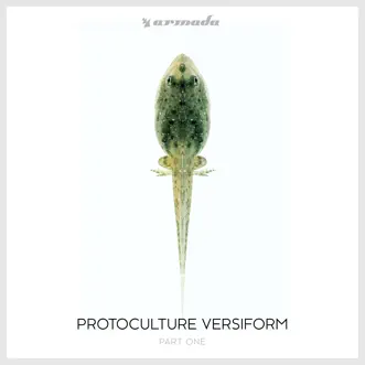 Versiform, Pt. 1 by Protoculture album reviews, ratings, credits