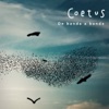 Coetus - Sape Que Sape (feat. Juan Quintero)