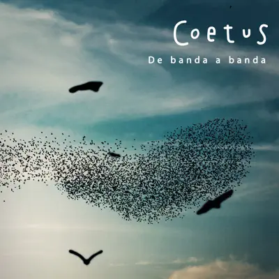 De banda a banda - Coetus