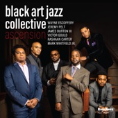 Black Art Jazz Collective - Iron Man