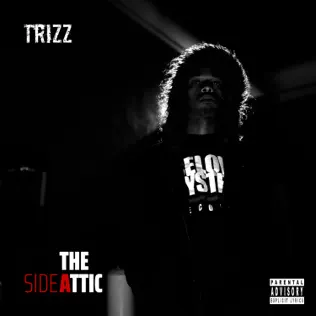 baixar álbum Trizz - The Attic