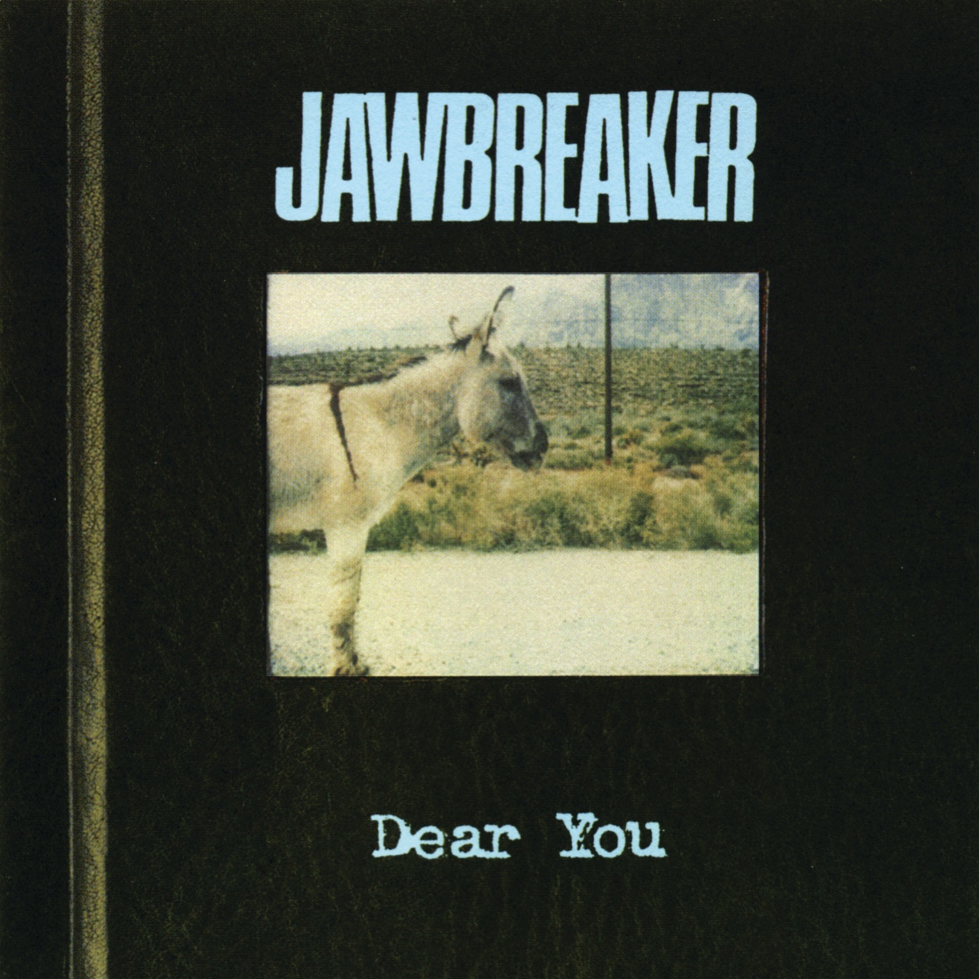 Dear You by Jawbreaker
