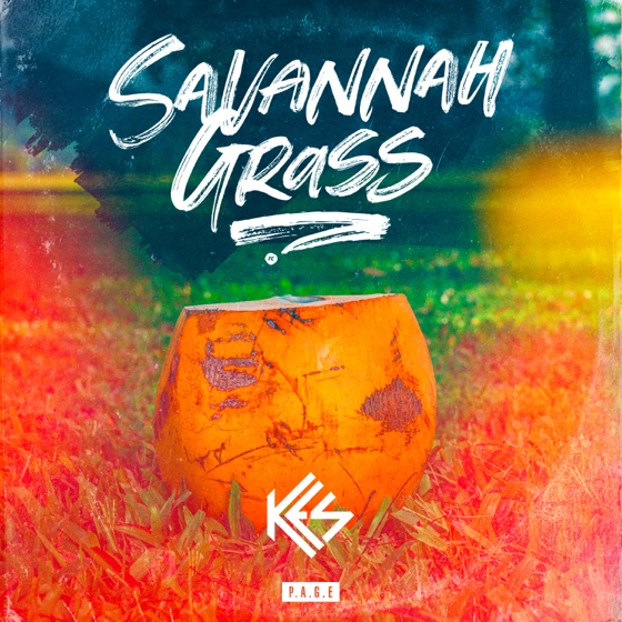 Cover artwork for Savannah Grass