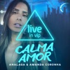 Calma Amor - Single