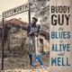 THE BLUES IS ALIVE AND WELL cover art