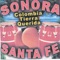 El Rey de la Cumbia - sonora santa fe lyrics