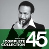 Marvin Gaye - I Heard It Through the Grapevine