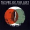 Stand By Your Manatee - Future of the Left lyrics