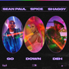 Go Down Deh (feat. Sean Paul & Shaggy) - Spice