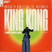 King Kong (Extended Mix) artwork