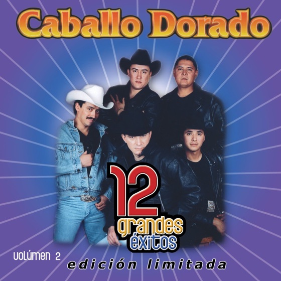 Cover artwork for Payaso de Rodeo